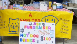 ASF fundraising table.